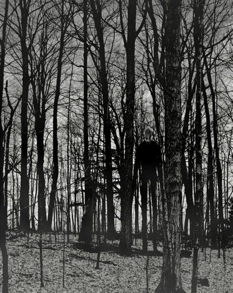 Image - Slender-man-in-woods.jpg – Creepypasta Wiki