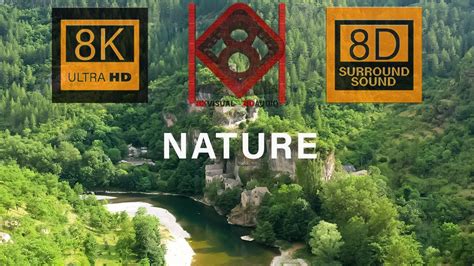 Relaxing NATURE in 8K video Ultra HD with Relaxing 8D Music | 8K Visual 8D Audio - YouTube Music