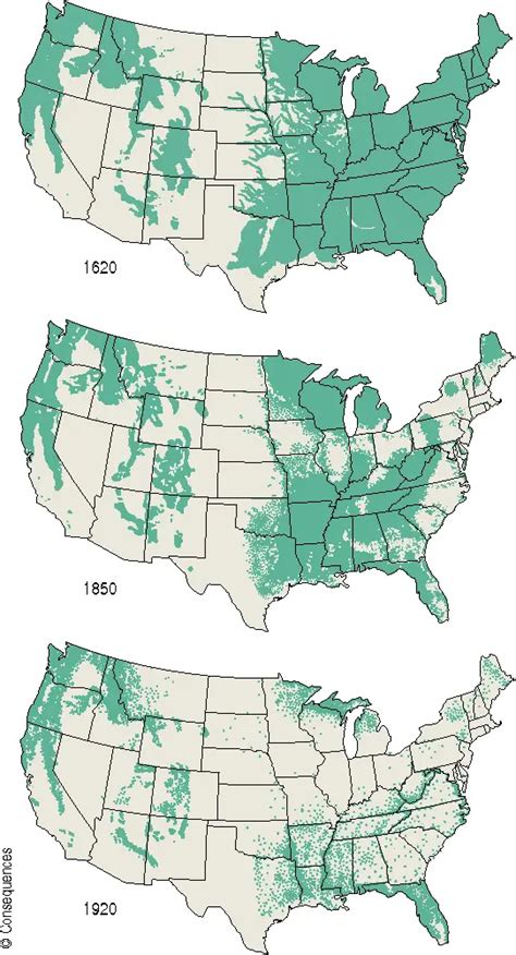 The forest cover of the United States mapped - Vivid Maps