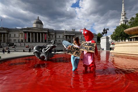 Animal rights protesters dye fountains red in London's Trafalgar Square - Environment - The ...