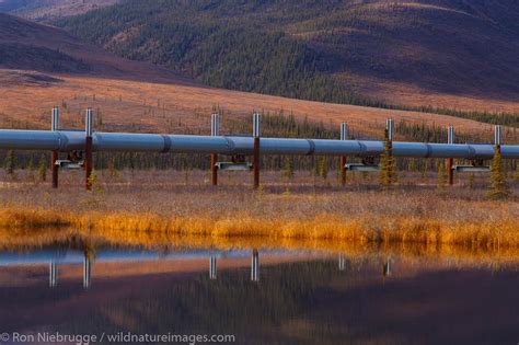 Alyeska Pipeline | Photos by Ron Niebrugge