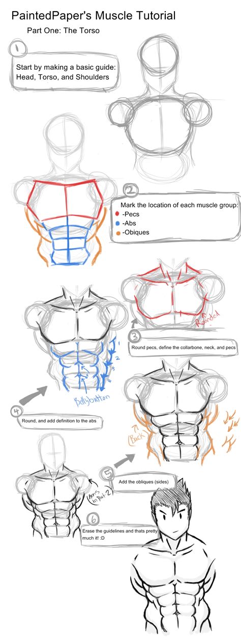 Big Muscles Tutorial - Part 1 by paintedpaper on DeviantArt