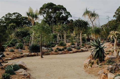 Karnup Nursery | Arid & Exotics Garden | Western Australia