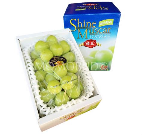 *This Week Promo* Japanese Shine Muscat Grape Gift Box — MomoBud