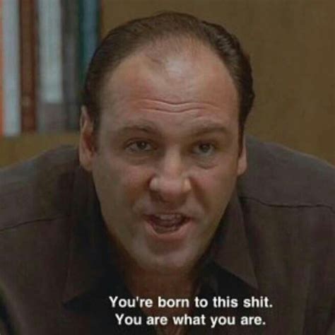 Pin by Bonz on Los Soprano | Sopranos quotes, Movie quotes, Sopranos