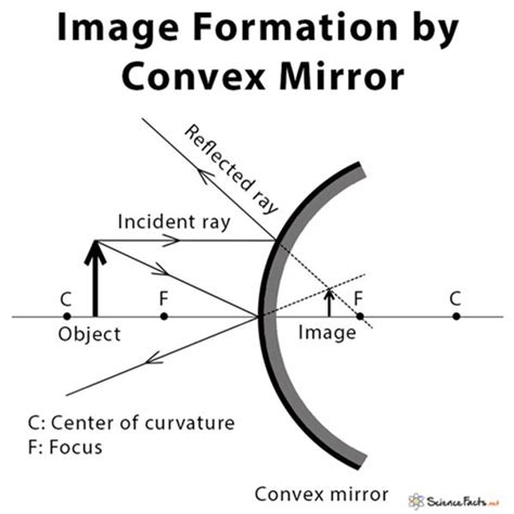 Convex Mirror Diagram