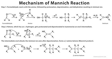 Mannich reaction: Definition, Examples, and Mechanism