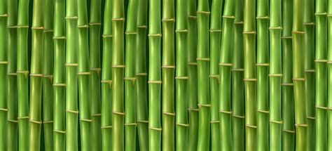 Green bamboo texture By vectortatu | TheHungryJPEG