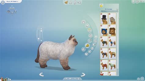 The sims 4 cats and dogs get a pet - vitafoz