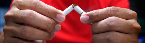 Tobacco responsible for 20% of deaths from coronary heart disease