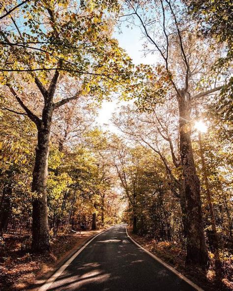 16 Stops for a Scenic Road Trip Along M-119 and the Tunnel of Trees | Michigan