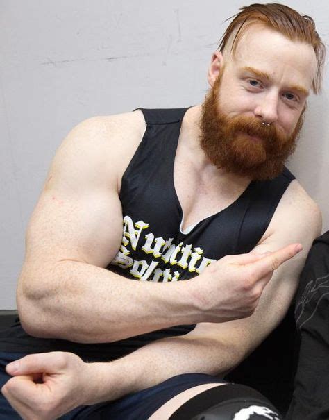 36 Sheamus aka Stephen Farrelly ideas | sheamus, wwe sheamus, wwe ...