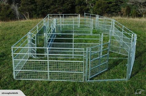 Sheep yard panels, gates and drafting race | Trade Me | Farm | Pinterest | Fencing, Auction and ...