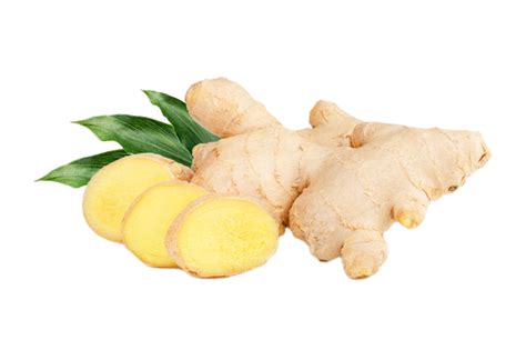 Ginger PNG Images Transparent Background | PNG Play