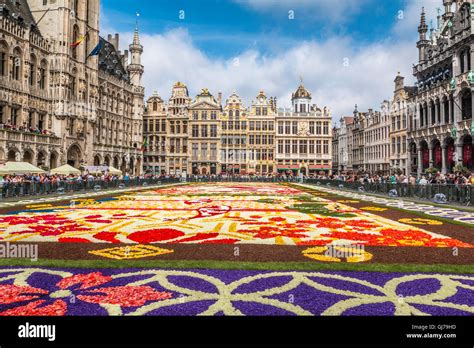 Brussels Flower Carpet 2017 - Carpet Vidalondon