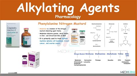 Alkylating Agents Pharmacology (Examples, MOA, Adverse Effects) - YouTube