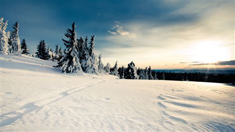 landscape, Snow, Trees Wallpapers HD / Desktop and Mobile Backgrounds