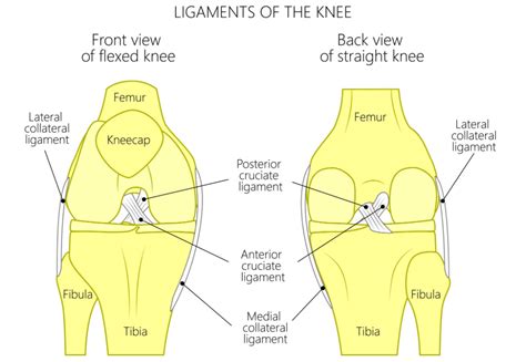 MCL Injury Pinckney, MO | Sports Rehab | Axes Physical Therapy