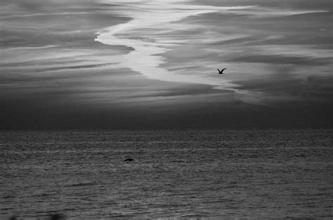 Black and White Sunset Photograph by Aimee L Maher ALM GALLERY