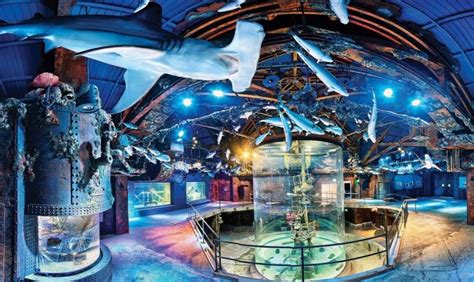 Wonders of Wildlife Museum Opens – Quimby's Cruising Guide