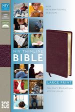 NIV Thinline Bible, Large Print (10.5 pt.) - Burgundy Bonded Leather