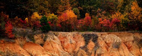 Inside Crowley's Ridge State Park | Arkansas State Parks