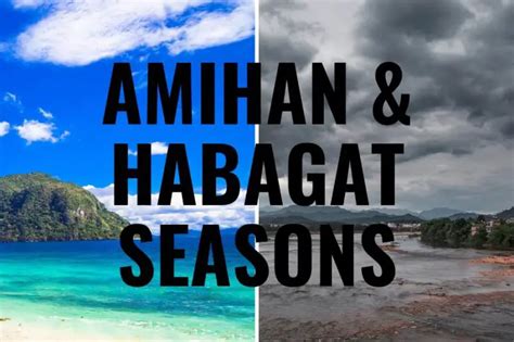 Amihan And Habagat: Diving Seasons In The Philippines Explained