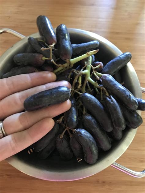 Witch finger grapes : r/mildlyinteresting