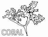 Coral Printable Coloring Page  Free Pages For Kids sketch template