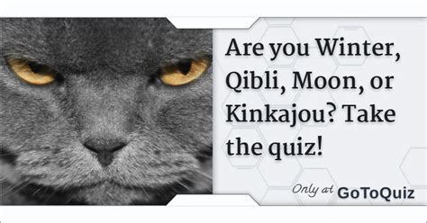 Are you Winter, Qibli, Moon, or Kinkajou? Take the quiz!