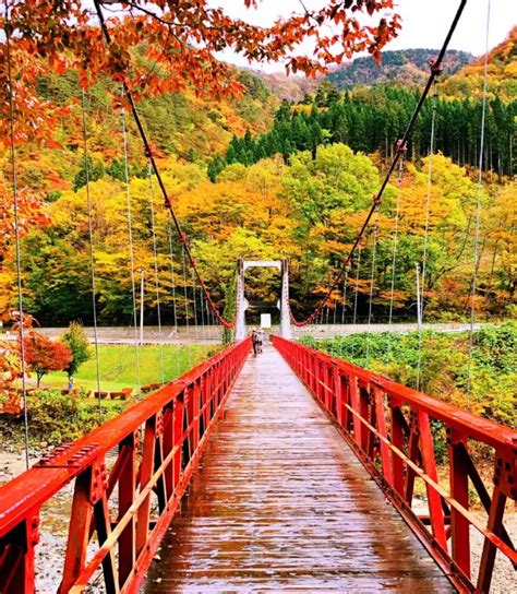 Akita Prefecture Travel Guide 2023 - Things to Do, What To Eat & Tips | Trip.com