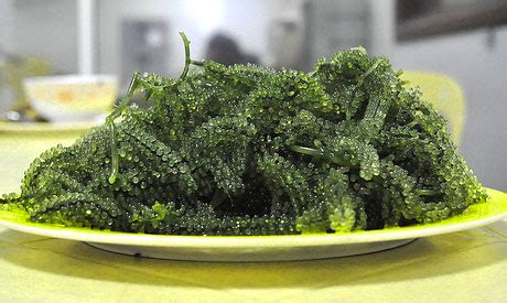 Seaweed Salad Nutrition Benefits | Besto Blog