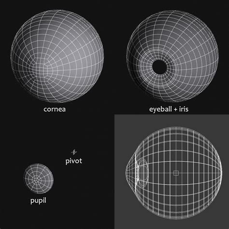 eye wireframe, cornea, eyeball, iris, pupil | チュートリアル, 義眼, 身体 描き方