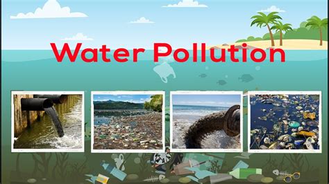 What is Water Pollution and Its Different Causes? Netsol Water - YouTube