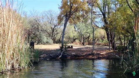 Explore Boat-In Camping Sites at Patagonia Lake State Park - Cactus Atlas