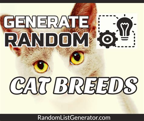 Random Cat Generator