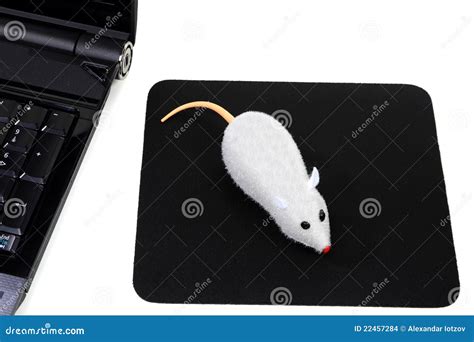 Two Buttons Wireless Mouse, Funny Computer Picture Stock Images - Image: 22457284