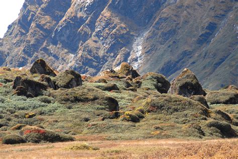 Makalu Barun National Park: A Hidden Gem In The Himalayas