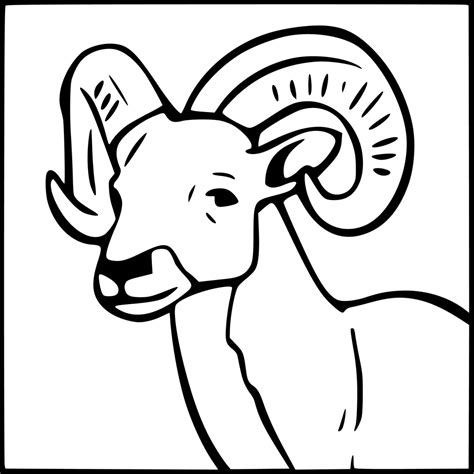 Adult Page Ram Coloring Pages