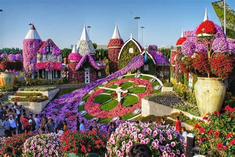 2023 Half Day Dubai City Tour with Dubai Miracle Garden Visit