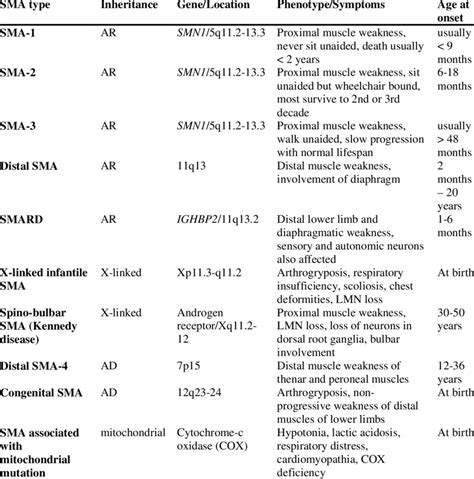 Types of spinal muscular atrophy in humans (modified from [55 ...