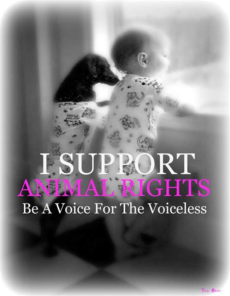 The Voice For The Voiceless: How to Solicit Donations for an Animal Rescue Group