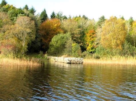 Views along the River Shannon - Ireland Photo (399719) - Fanpop