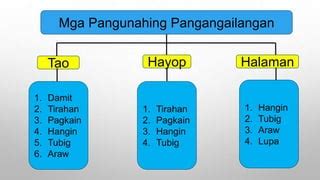 Pangunahing pangangailangan ng tao, hayop at halaman presentation.pptx