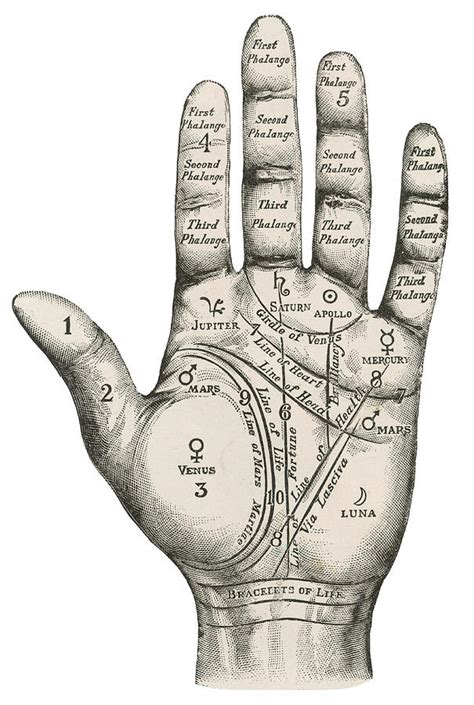 Vintage Palm Reading Palmistry Hand Map Statuette | ubicaciondepersonas ...