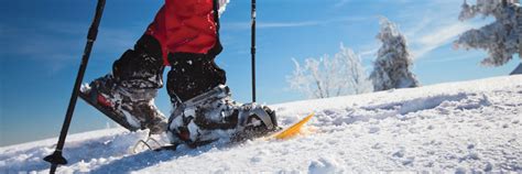 10 Colorado Trails for Snowshoeing Beginners – CannaVenture®