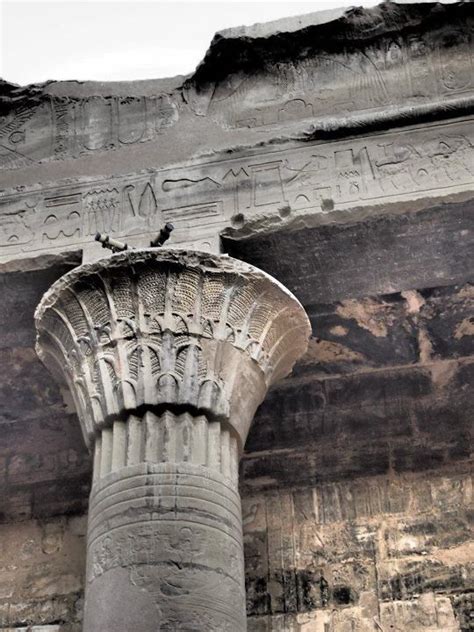 Lotus engraved columns, Edfu Temple | Ancient egypt, Egypt, Historical ...