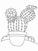 Cactus coloring pages Download And Print sketch template