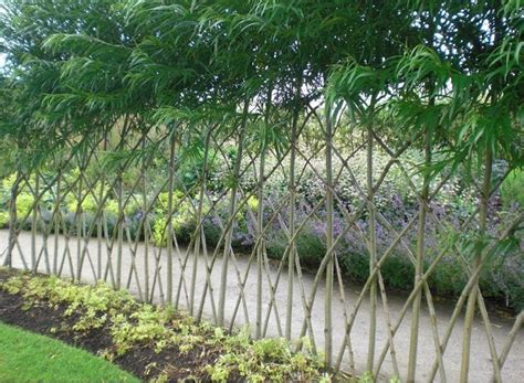 Living Willow Hedges Or 'fedges' = fence + hedge. Willows, sallows, and osiers form the genus ...