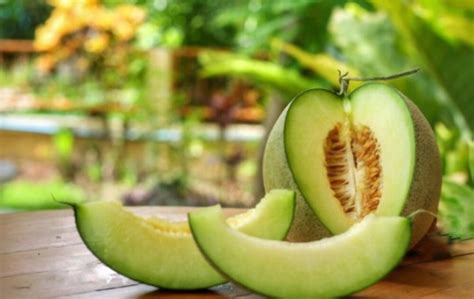 What Does Honeydew Taste Like? Exploring the Flavor